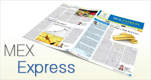 MEX EXPRESS Flash ePaper