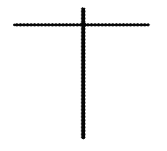 Description: Dragonfly-Dogi.png