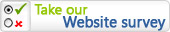 Website survey
