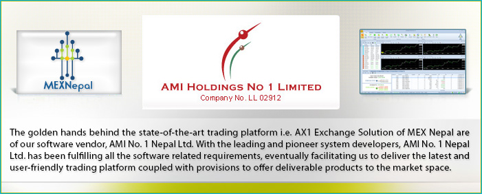 AMI Holdings No.1 PVt Ltd