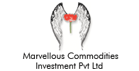 Marvellous Commodities Investment Pvt. Ltd