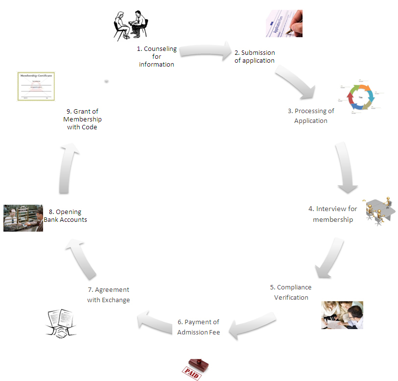 Market Structure